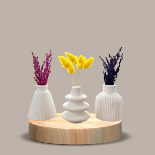 Set Dekorativ me Tre Vazo Minimaliste dhe Lule të Thata në Ngjyra Set Dekorativ me Tre Vazo Minimaliste dhe Lule të Thata në Ngjyra